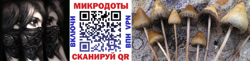 маркетплейс клад  сколько стоит  Спас-Деменск  Псилоцибиновые грибы прущие грибы 
